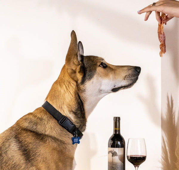 Dog Drinking Wine & Eating Bacon