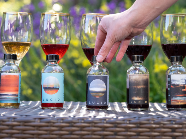 Wine Tasting Kits + Virtual Tasting